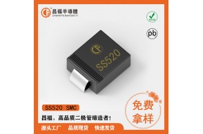 SS520 SMC